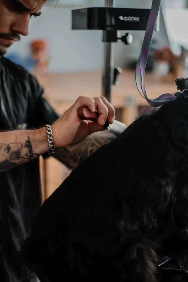 Pessoa aparando as unhas de um cão de estimação durante o grooming.