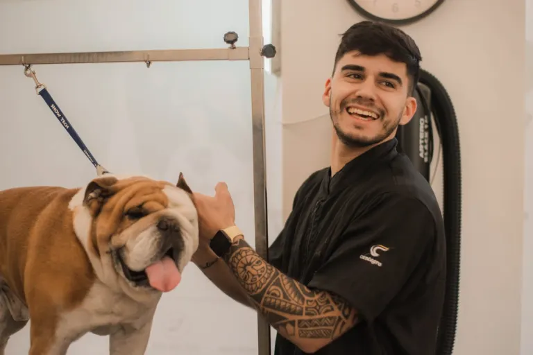 Homem sorridente tocando um buldogue inglês na cabeça, em ambiente interno