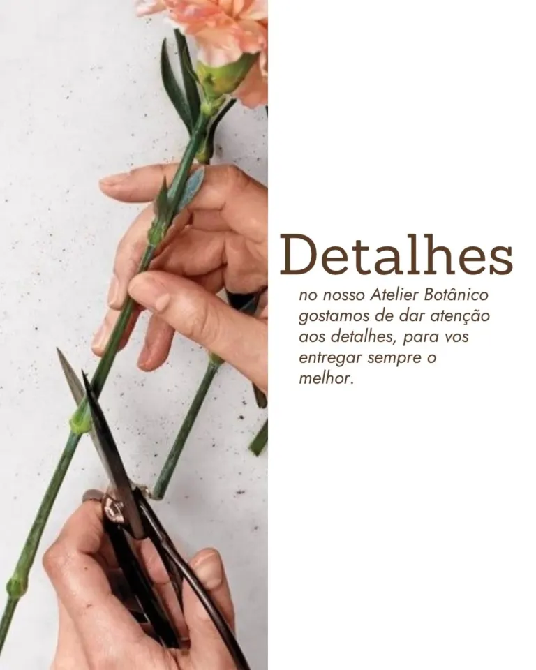 Atelier Botânico · design para redes sociais da The Pear Marketing