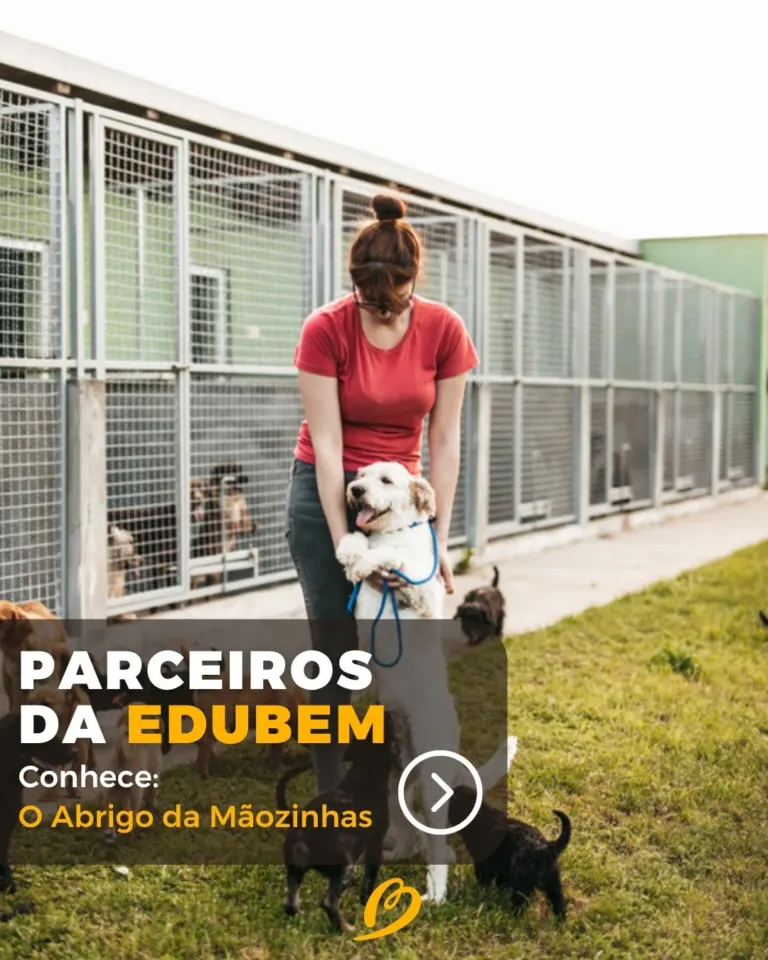 Edubem · design para redes sociais da The Pear Marketing